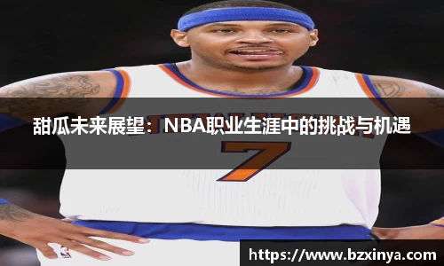甜瓜未来展望：NBA职业生涯中的挑战与机遇